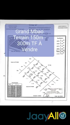 Vente de Propriétés Commerciales à Grand Mbao dès 9000000 FCFA - Immobilier