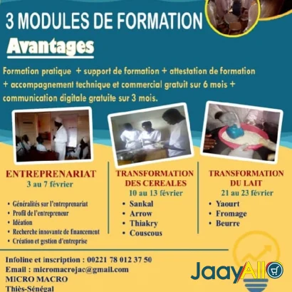 Vente de Formations à Thiès dès 25000 FCFA - Emploi & service