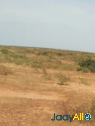 Vente de Terrains à Vendre à Thiès dès 700 FCFA - Immobilier